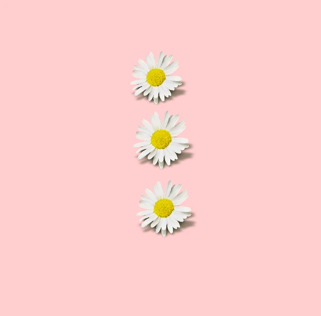 Margarita Tumblr Pastel Rosa Image By Tumblr Arts Margarita Tumblr Pastel Rosa Image By Tumblr Arts