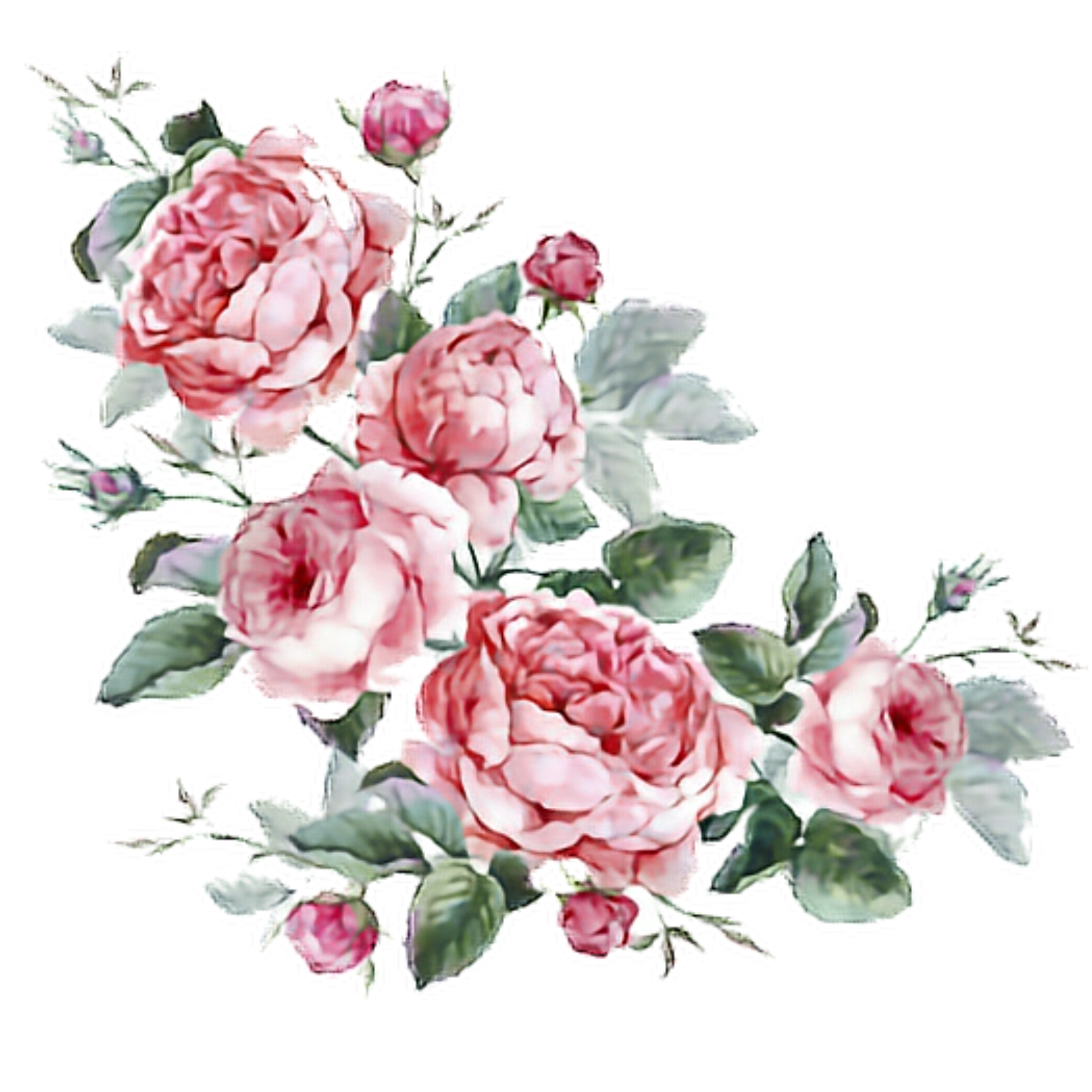 Download Transparent Aesthetic Flower Png | PNG & GIF BASE