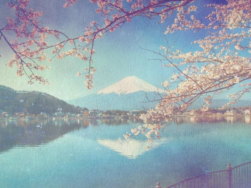 images Cherry Aesthetic Drawing japan aesthetic drawing image by r a