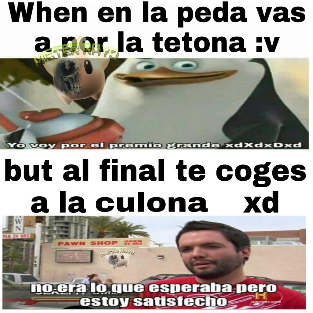 Momos Momosshidos Momosprrones Memes Alv Xd Memame V