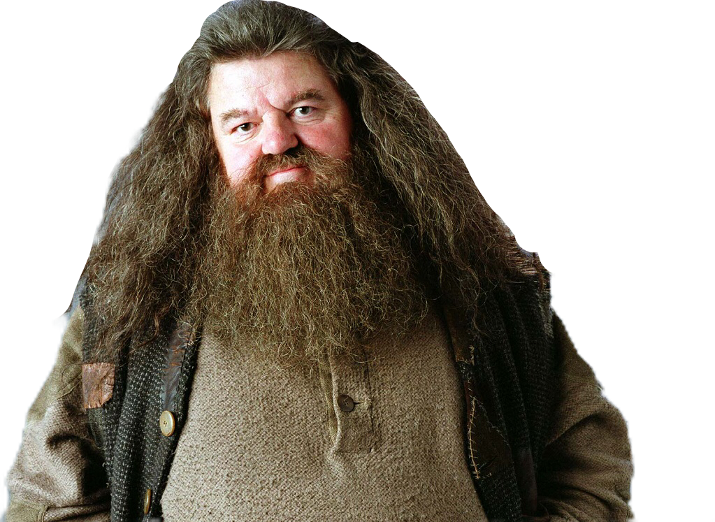 Hagrid Freetoedit Hagrid Freetoedit Sticker By Brittanysw