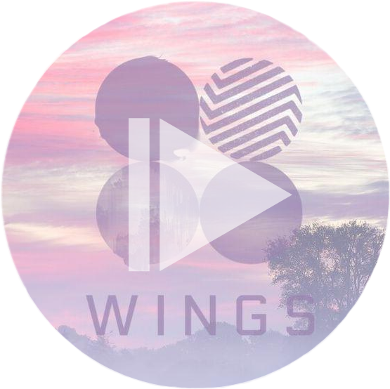 Freetoedit Bts Wings Koreanboys Sticker By Moniczqua77 4699