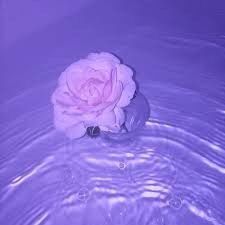 Purple Aesthetic Tumblr Image By Sofia The Last