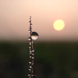 freetoedit sunrise waterdrops micro sun pcminimalism