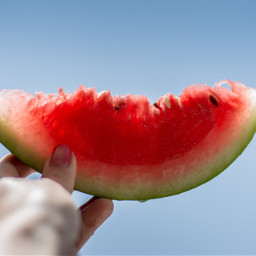 freetoedit watermelon
