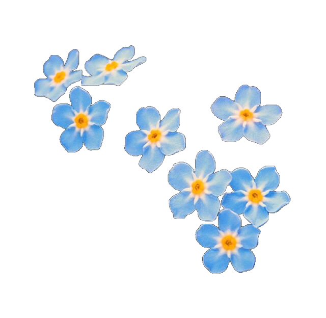 overlay overlays flower flowers blue editinghelp freeto...