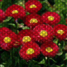 red flowers flores rojo background