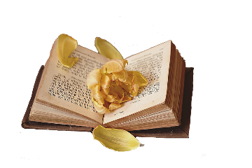 book libro png overlay cooffe freetoedit