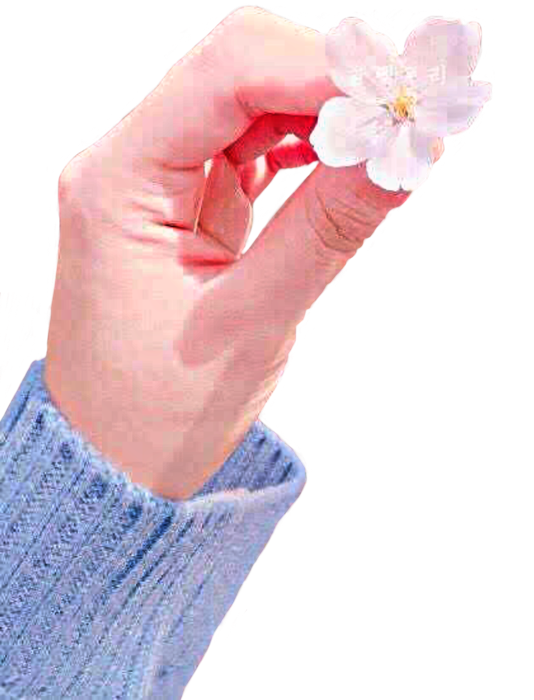 hand hands flower flowers rose freetoedit sticker by cute60