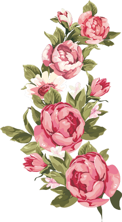 flowers pink rose freetoedit