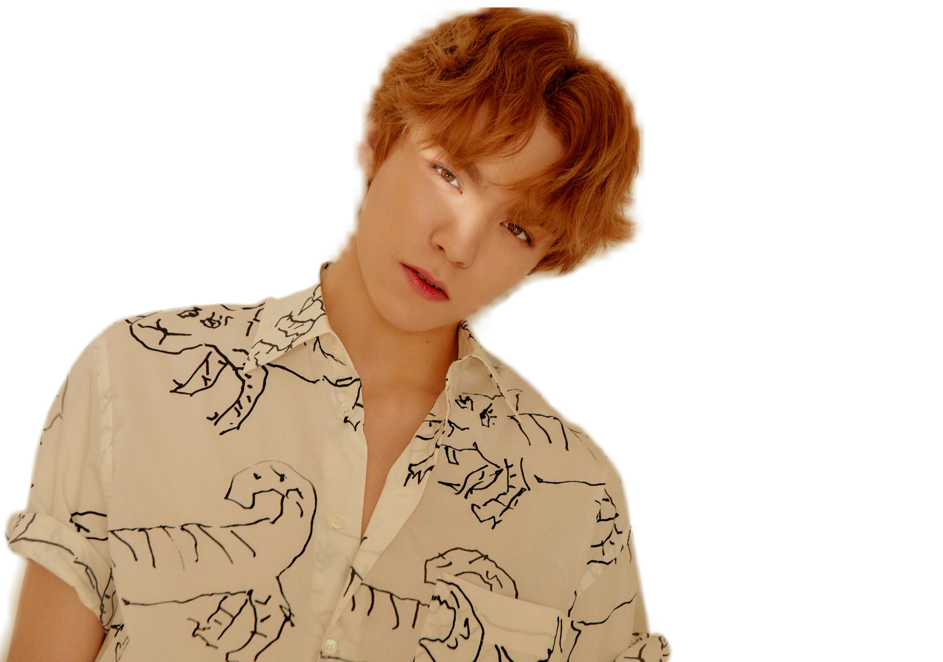 Freetoedit Seventeen Hansol Vernon Sticker By Carat