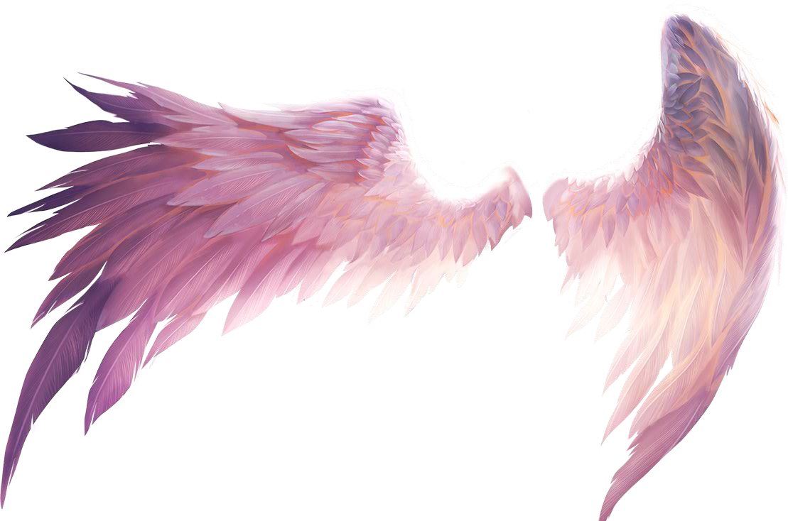 pink wings angel angels sticker by @sunflower-hazel.