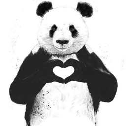 freetoedit panda hand hands heart