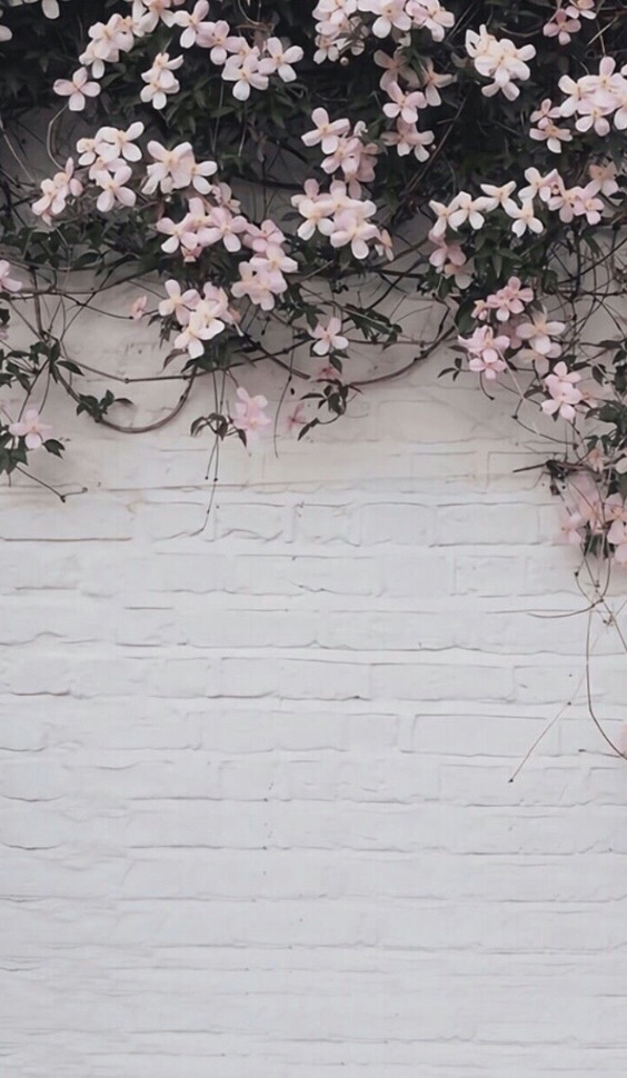 background flowers wall nature image by @backgroundx