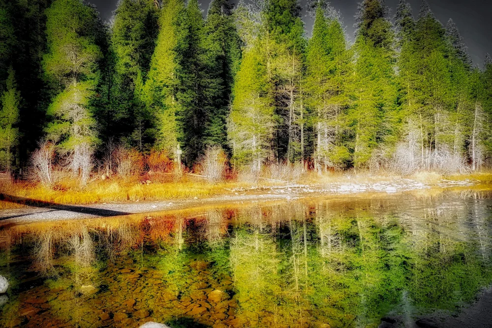 DirectReflect
#AngelEyesImages#instagram#instagramers#instagrammers#picsart#picoftheday#landscapephotography#landscape#trees#glaciernationalpark#montana#visitmontana