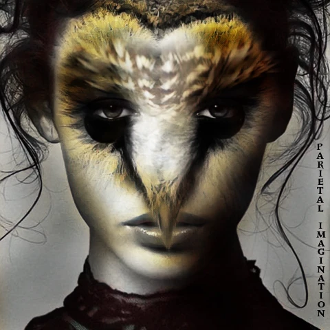 #owl,#woman,#echumananimalhybrid,#humananimalhybrid,#surreal,#irchalfface
