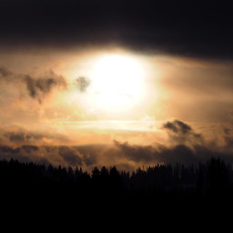 sunset treesandsky clouds paradiseishere freetoedit
