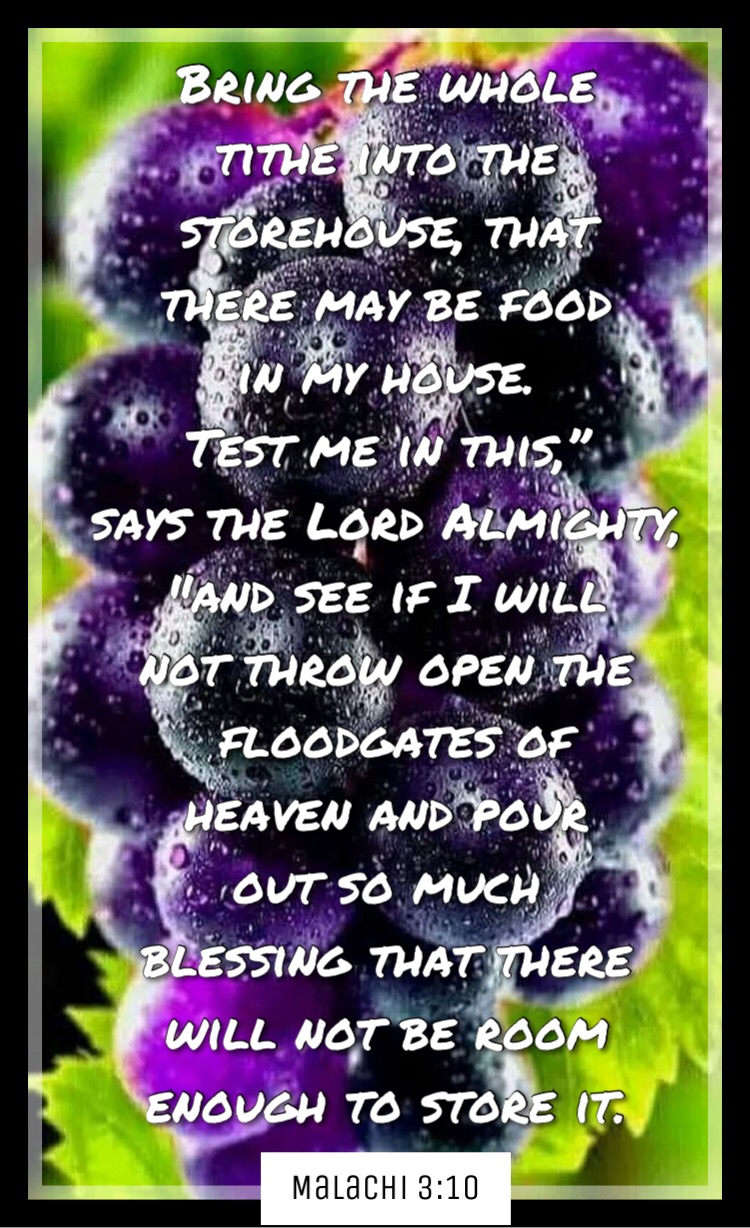 i will pour open the store house of heaven i will pour open the store house of heaven