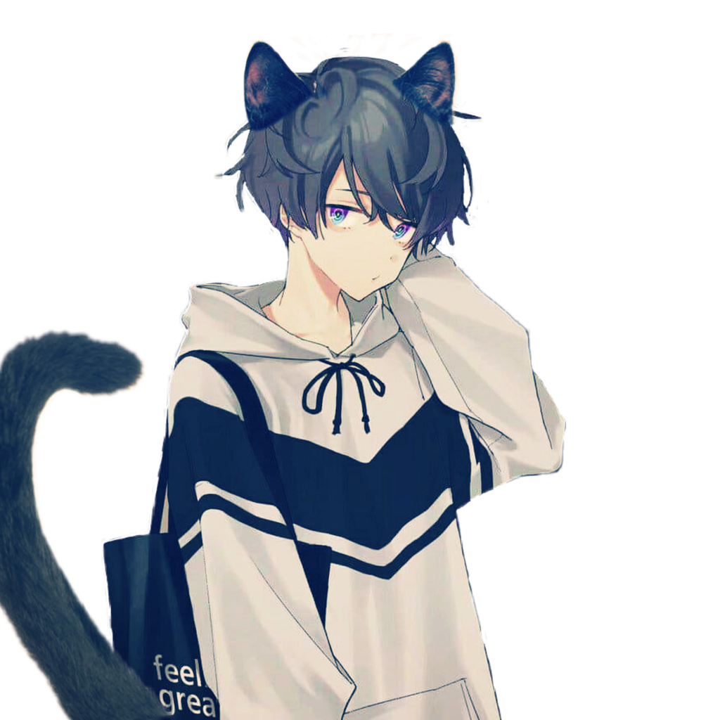 Anime Neko Boy ANIME