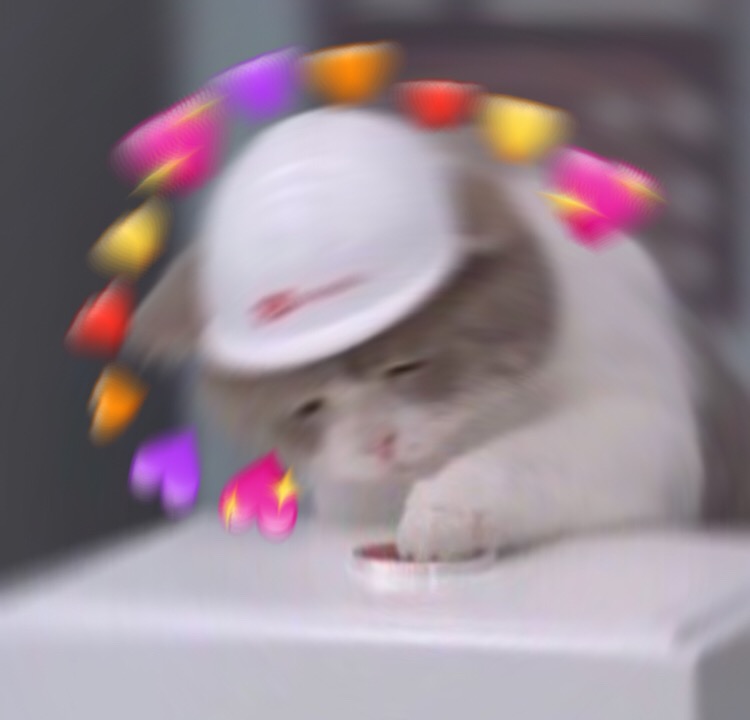Crying Cat Meme Hearts