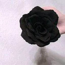 freetoedit flower black blackflower flowers