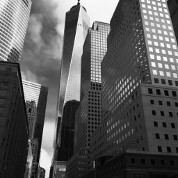 pccity city freetoedit newyork oneworldtradecenter pclines pcskyscraper