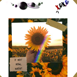 ircsunflowersgalore sunflowersgalore freetoedit rainbow polaroid