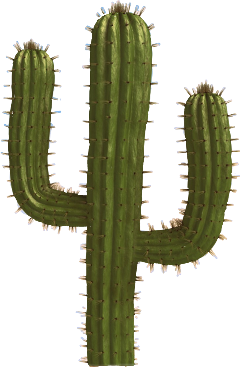 sticker freetoedit cactus desertcactus