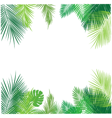frame border greenborder palmtrees floral palmtreeframe...