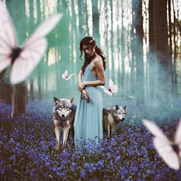 wolf girl forest butterfly flowers