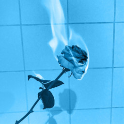 blue rose fire heat tile freetoedit