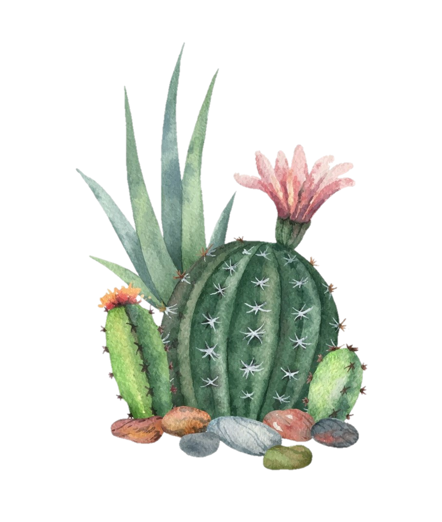 freetoedit ftesticker cactus succulent plant colorful...