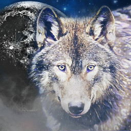 freetoedit wolves dog picsartefects moon