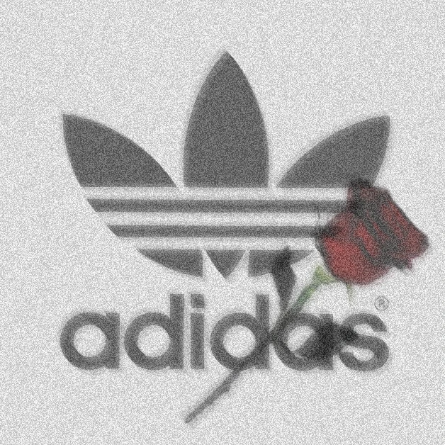 Adidas Rose 背景画 背景画像 Image By Mayuka Adidas Rose 背景画 背景画像 Image By Mayuka