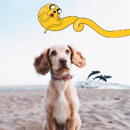 freetoedit edit dog love ocean freetoeditremix