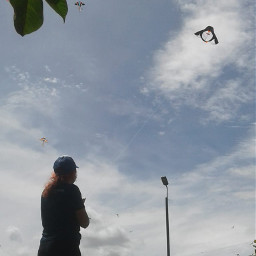pckite kite