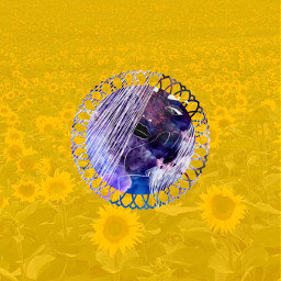 sunflower colorsmoke field flower girl freetoedit