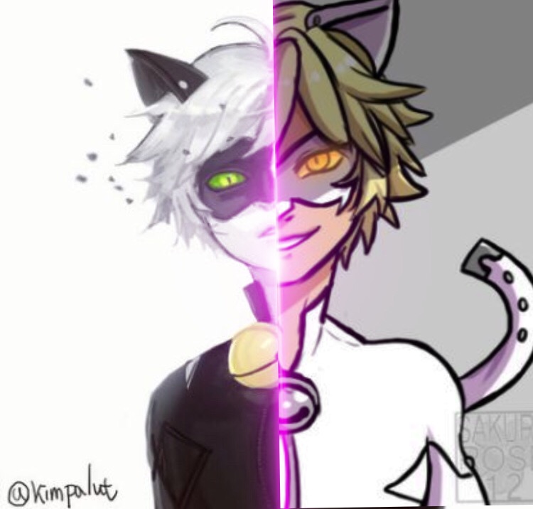 Chat Noir Transformation To Chat Blanc Chatnoir Chatbla