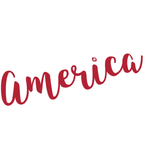 america-word-words-text-letters-sticker-by-wlkanja