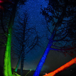 freetoedit night astrophotography stars trees
