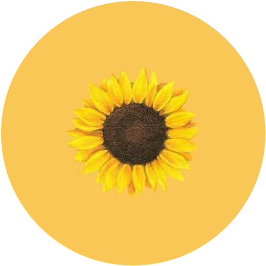 girasol🌻 overlays freetoedit girasol sticker by @sarahpop24