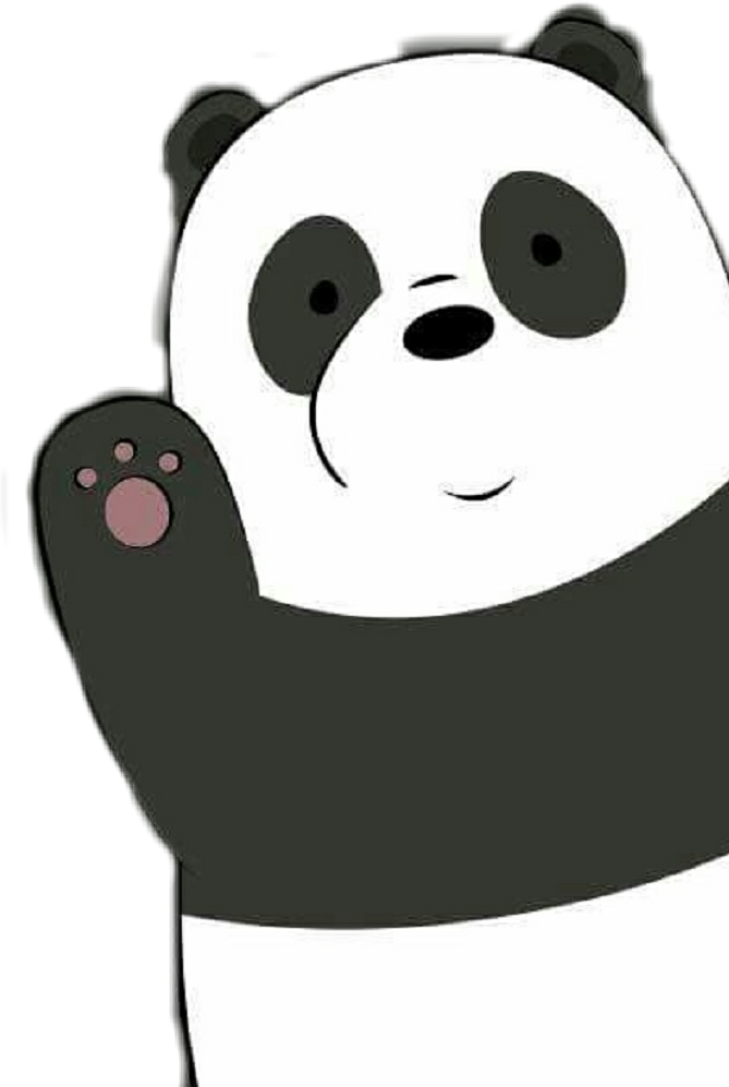 37 Panda Dibujo Escandalosos Png Db Porn Sex Picture