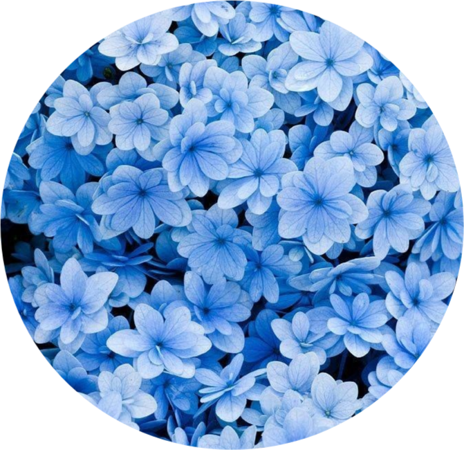 blue aesthetic  Sticker by Natalie