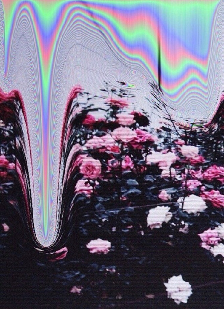 Tumblr Glitch Flower Background Freetoedit