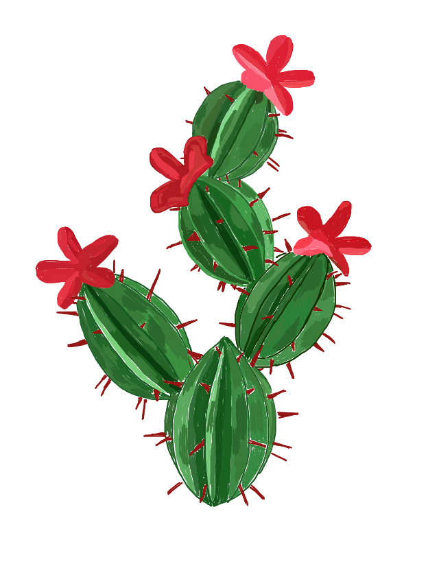 cactus tuna nopal dccactus freetoedit • sticker by @alinedf