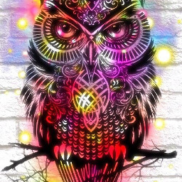 freetoedit remixit owl art colorful