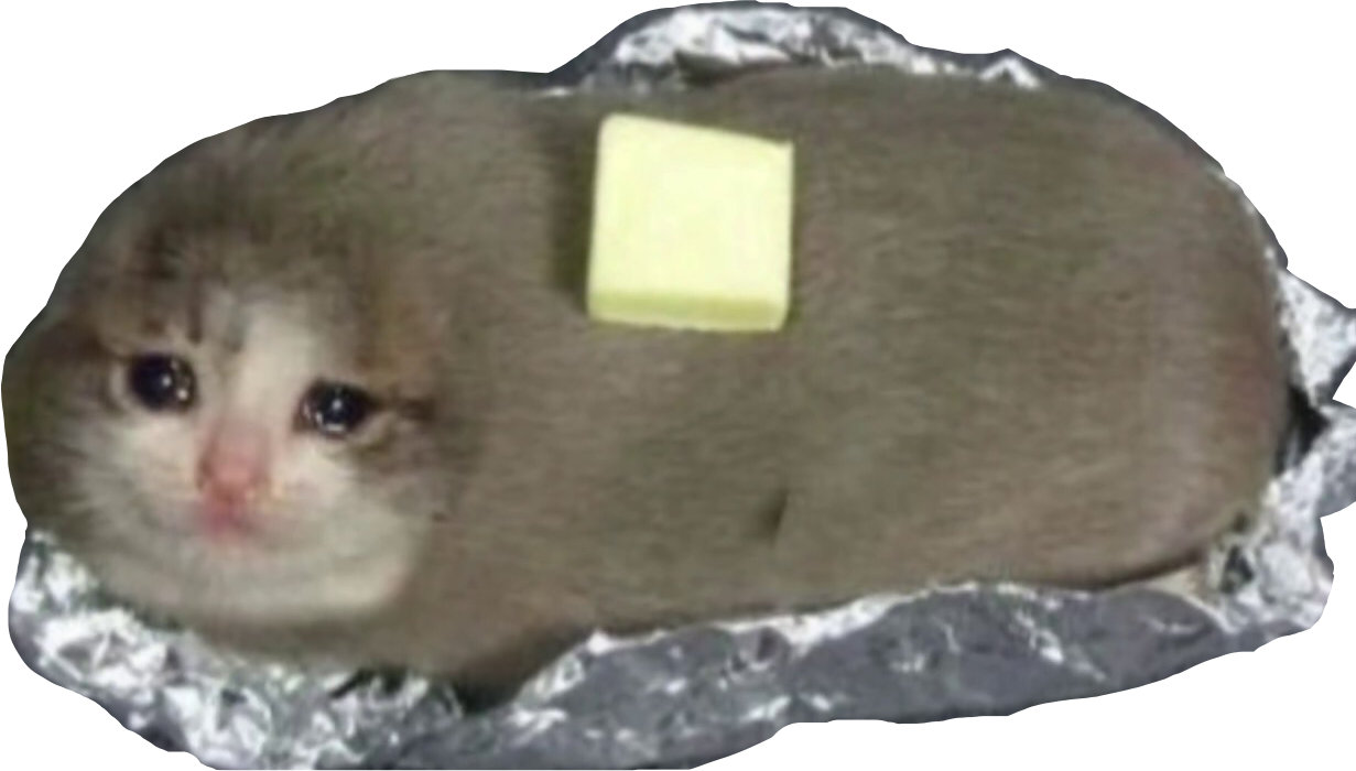 Crying Cat Meme Transparent