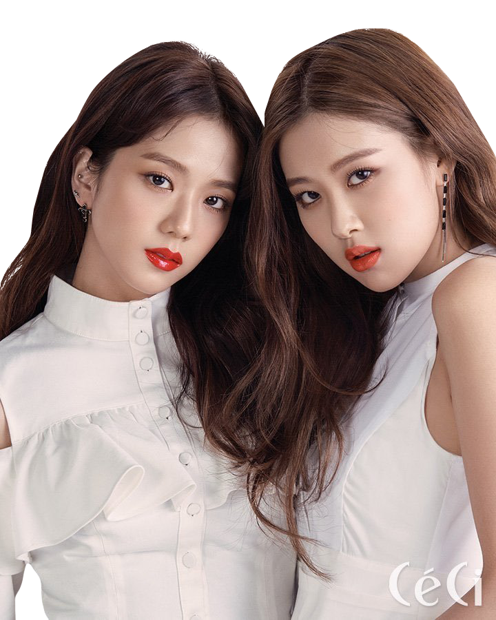 Ан вместе. Chaesoo BLACKPINK. BLACKPINK Дженни и Джису. Блэк Пинк Розе и Джису. BLACKPINK Jisoo Jennie.