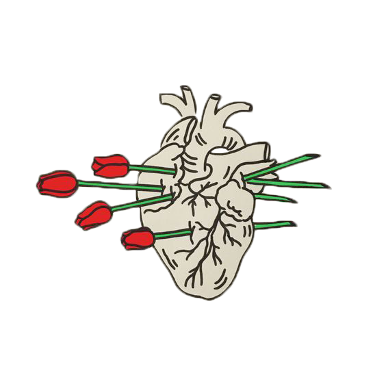 heart roses rose red dead freetoedit sticker by @neilywolf