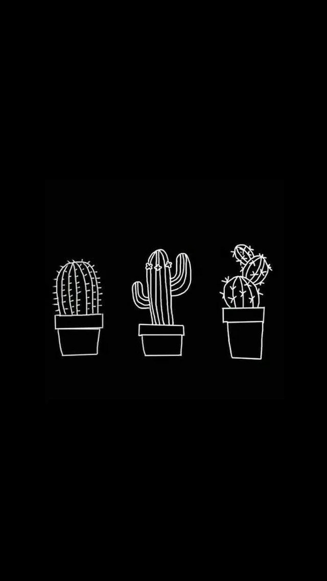 Tumblr Black White Blackandwhite Cactus Kaktus Aestheti